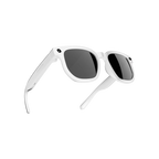 Ertechen AI Glasses